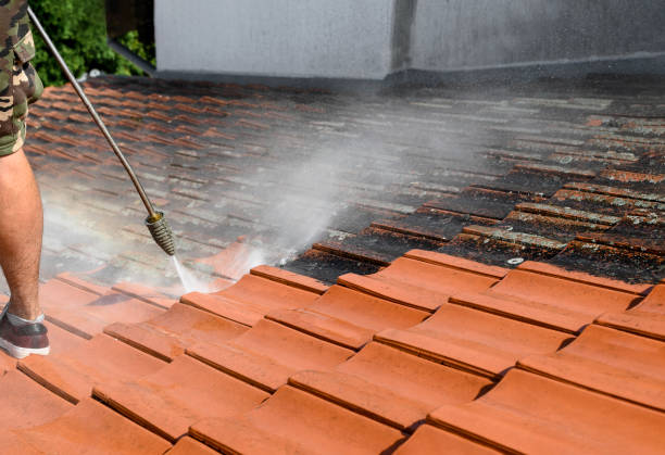 Best Roof Pressure Washing  in Gainesboro, TN